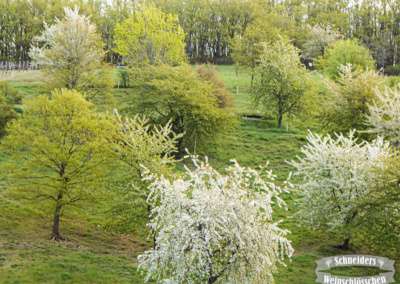 Wandern in Frauenstein