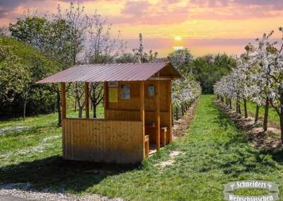 Wandern in Frauenstein
