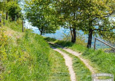 Wanderparadies Frauenstein
